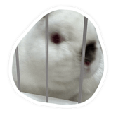 865013955
