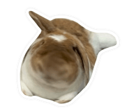 865013958