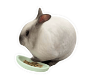865013960