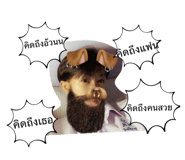 865014552