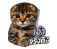 865014961