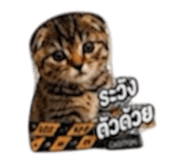 865014962