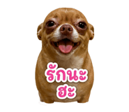 865015695