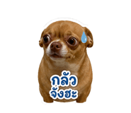 865015697