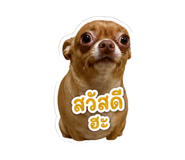 865015699