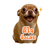 865015700