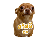 865015701
