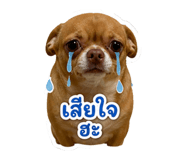 865015704