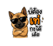 865015881