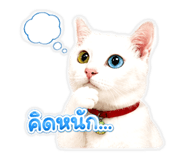 865016320