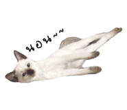 865016377