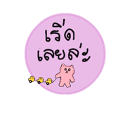 865016396
