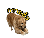 865016709