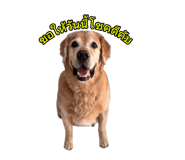 865016711