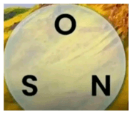 865017301