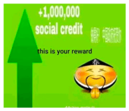 865017311