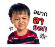 865019033