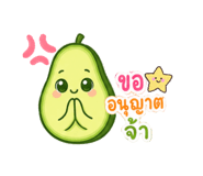 865020570
