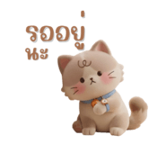 865020772