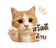 865021233