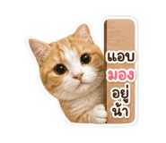 865021241