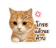 865021244