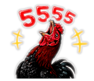 865021716