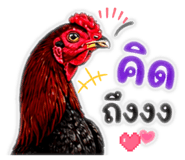 865021718
