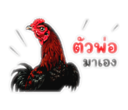 865021723