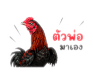865021735