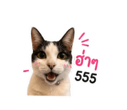 865022014