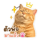 865022115