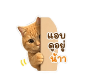 865022117