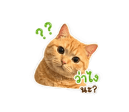 865022118