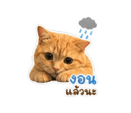 865022120