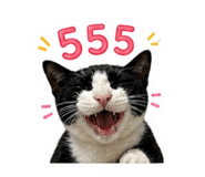 865022271