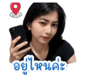 865022275