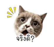 865024351