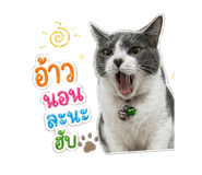865028210