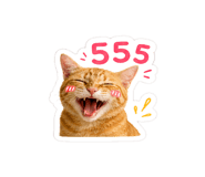 865028486