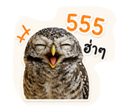 865028499