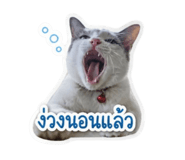 865028749