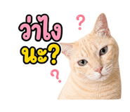 865028872