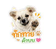 865028911