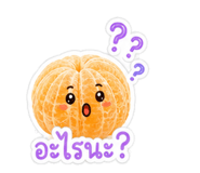 865029211
