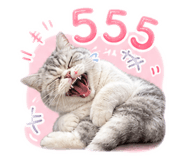 865029530
