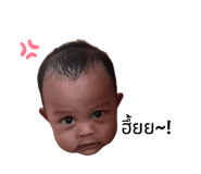 865029635