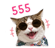 865029938