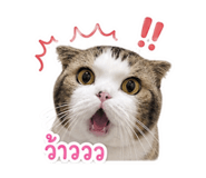 865029997