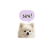 865030739